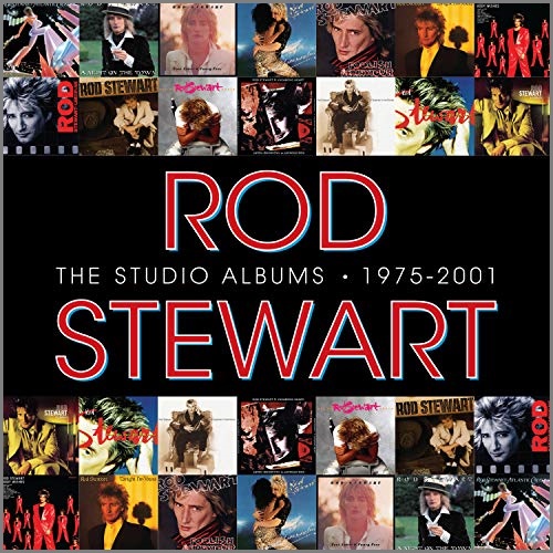 新登場 欧州盤！ROD STEWART/ロッド・スチュワート/BODY WISHES