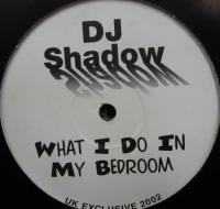 DJ　シャドウ / WHAT　I　DO　IN　MY　BEDROOM