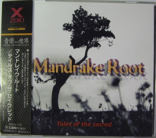 root 人気 ルート レコード